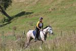 NZNI493