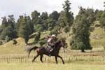 NZNI498