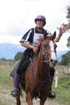 NZNI531