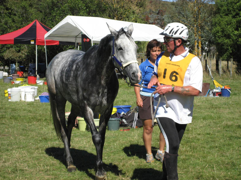 NZNI272