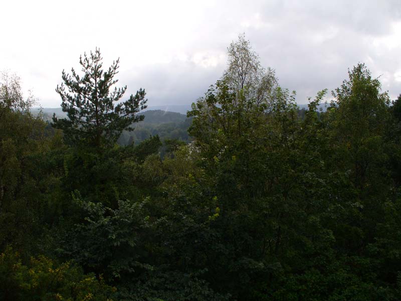 NOR032