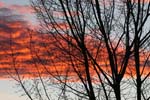 06IMG_6144