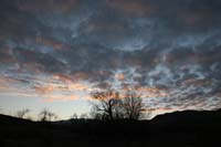 IMG_1389