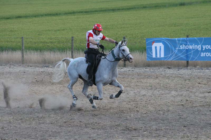 PECH086