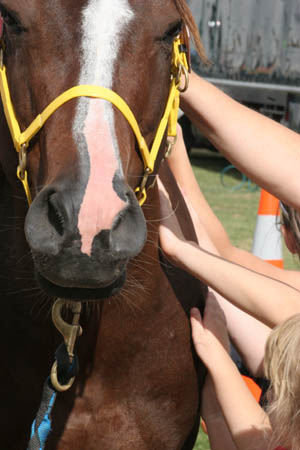 merri/goodrotator/HOYF064.jpg