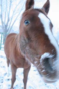 merri/goodrotator/IMG_0507.jpg