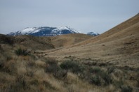 IMG_4042