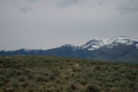 IMG_4154