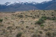 IMG_4155