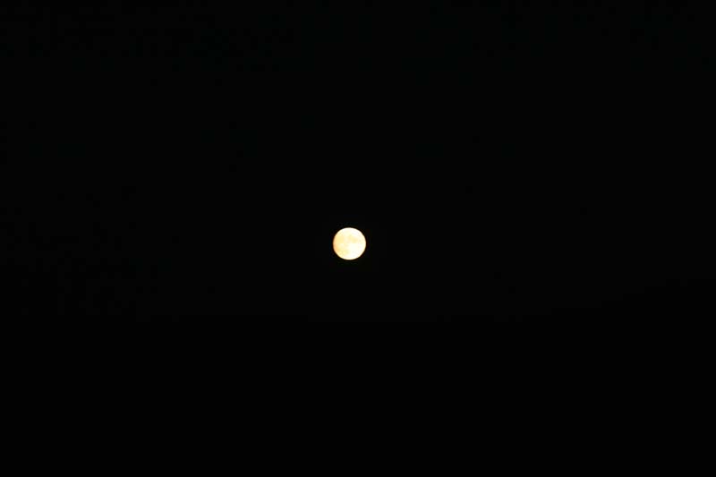 IMG_3868