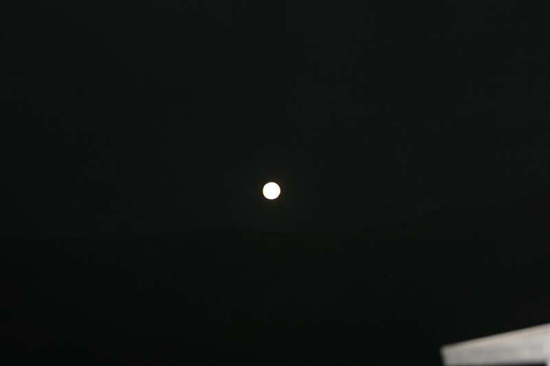 IMG_3869