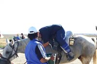 IMG_0260