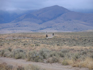 IMG_9809