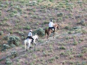 IMG_4517