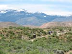 IMG_4254