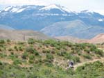 IMG_4255