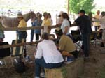 IMG_4403