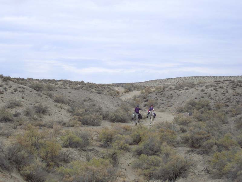 Oweyhee041021_035