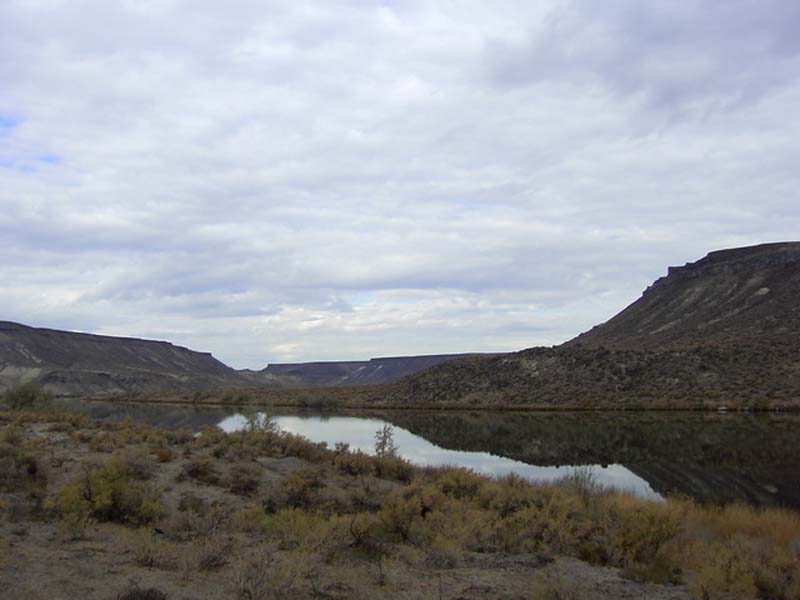 Oweyhee041021_079