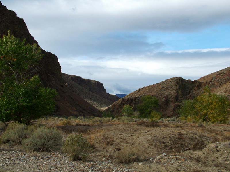 Oweyhee041022_003