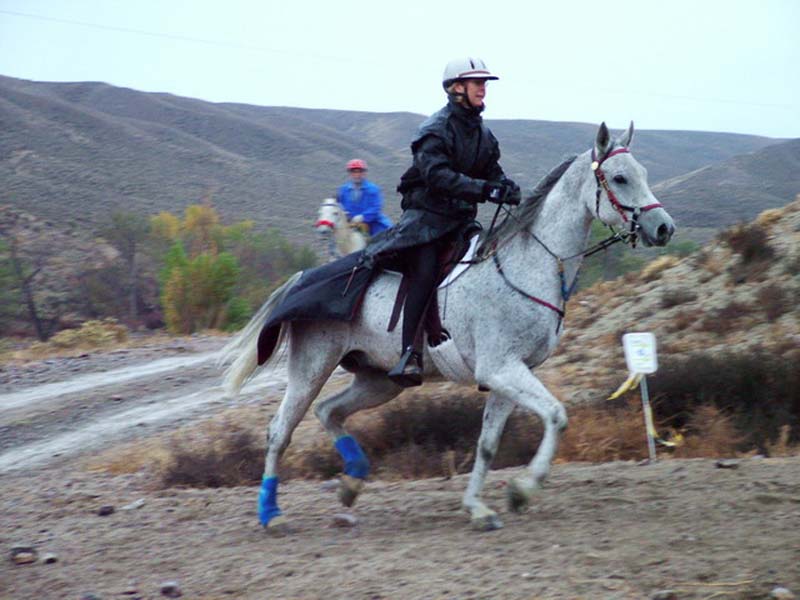 Oweyhee041023_005