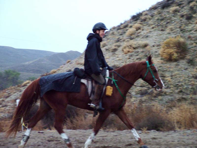 Oweyhee041023_020