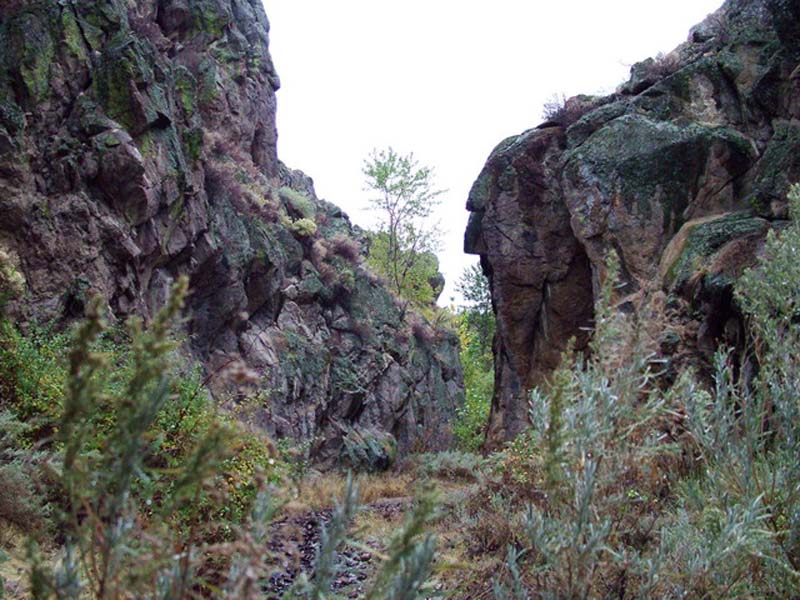 Oweyhee041023_067