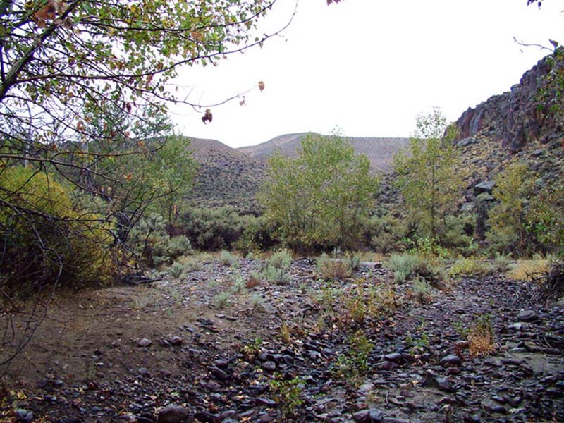 Oweyhee041023_070