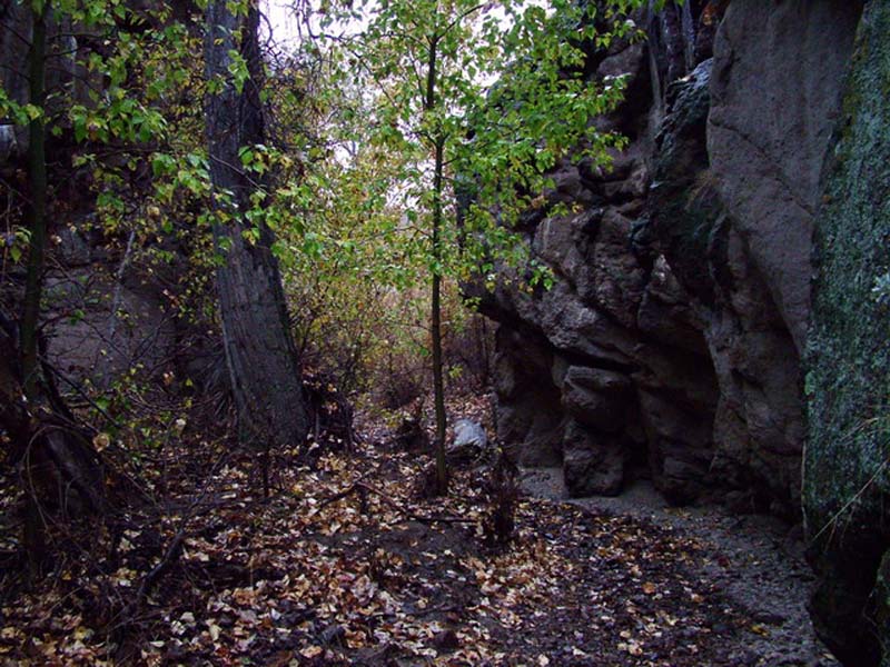 Oweyhee041023_072