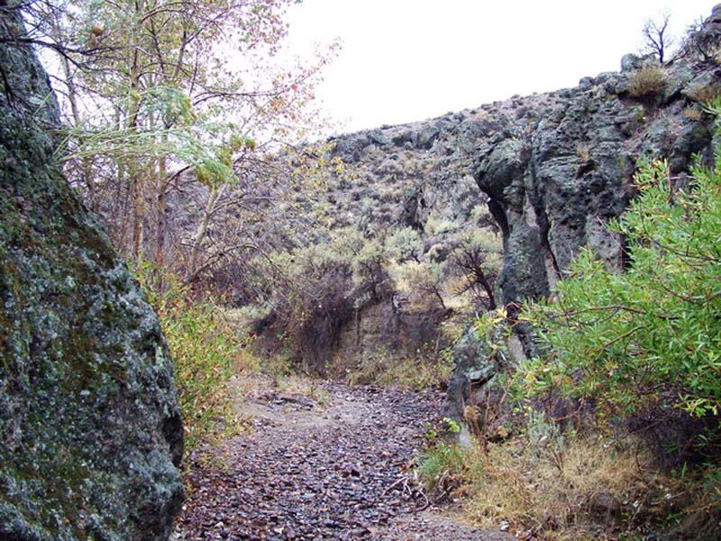 Oweyhee041023_074