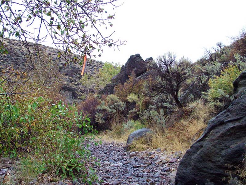 Oweyhee041023_080