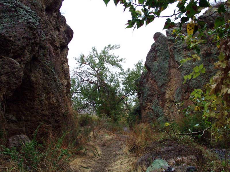Oweyhee041023_089