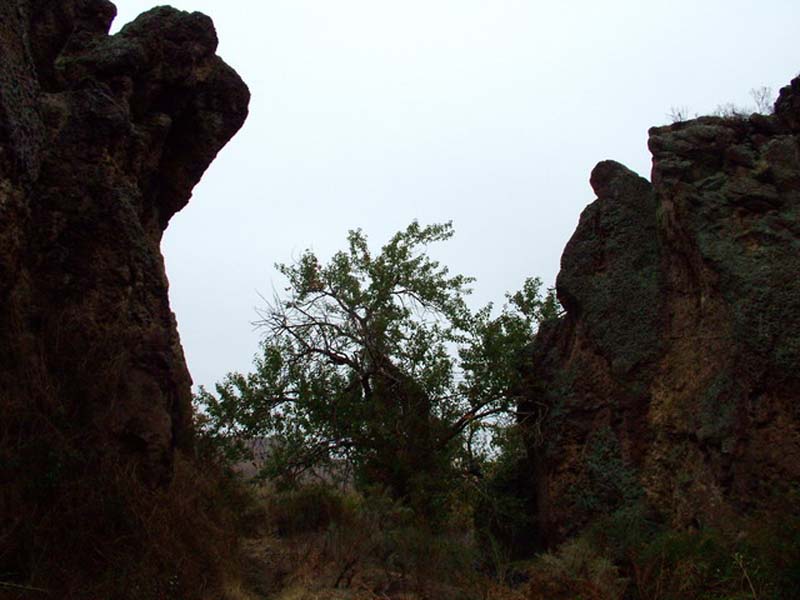 Oweyhee041023_093