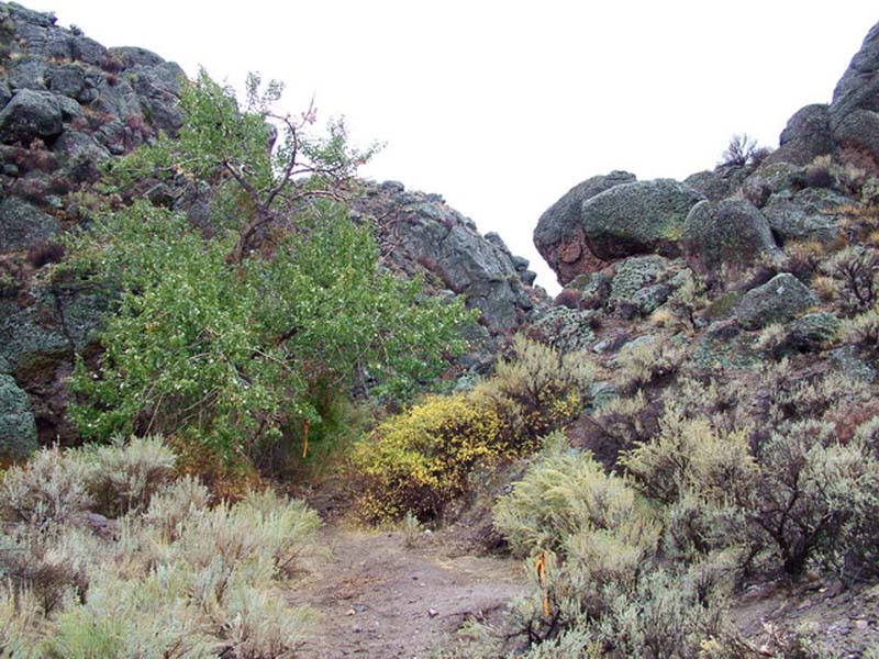 Oweyhee041023_095