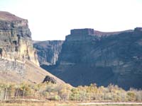 Oweyhee041020_114