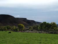 Oweyhee041020_115