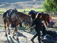 Oweyhee041020_214