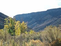 Oweyhee041020_221