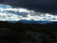 Oweyhee041020_223