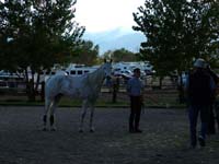 Oweyhee041020_231
