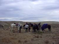 Oweyhee041021_030