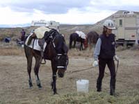 Oweyhee041021_031