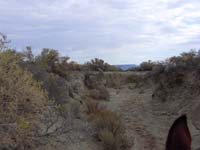 Oweyhee041021_047