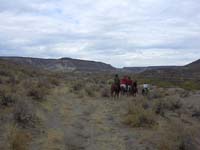 Oweyhee041021_077