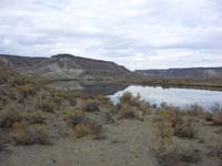 Oweyhee041021_081