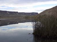 Oweyhee041021_084