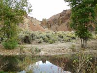 Oweyhee041022_031