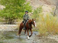 Oweyhee041022_111