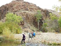 Oweyhee041022_158