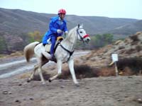Oweyhee041023_007